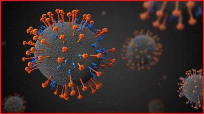 Nipah virus health crisis in India: no vaccine and up to 75% mortality rate