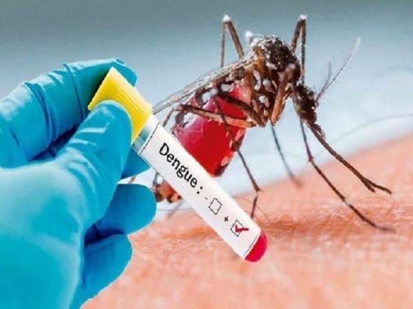 डेंगू के बढ़ते मामलों पर कोर्ट ने कहा- 