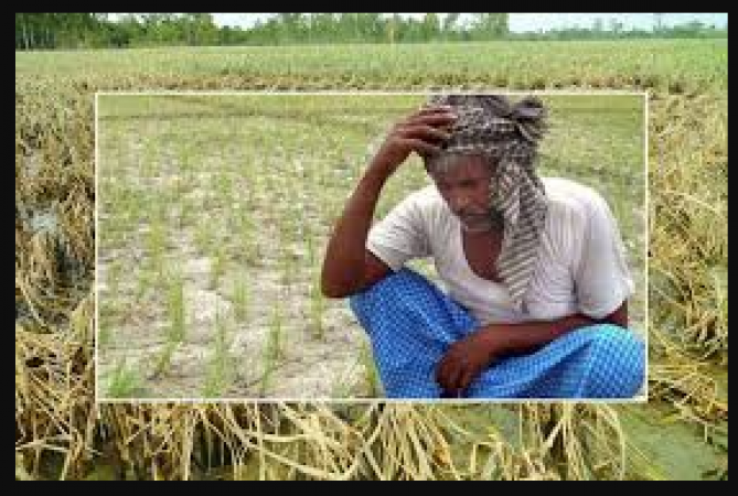 Heavy Rains In Andhra Pradesh Have Caused Many Crops To Be Lost ...