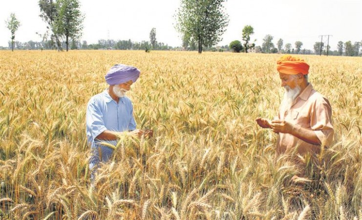 Govt Increased MSP in Range Of 40-70% For All Crops