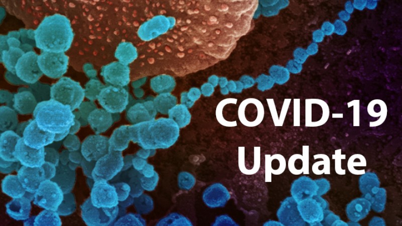 Coronavirus: New studies suggest it evolves naturally: Report