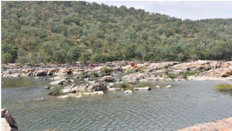 Tamil Nadu passes resolution against Karnataka decision to build dam at Mekedatu