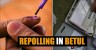 Repolling Scheduled for Four Booths in Betul Lok Sabha Constituency of Madhya Pradesh
