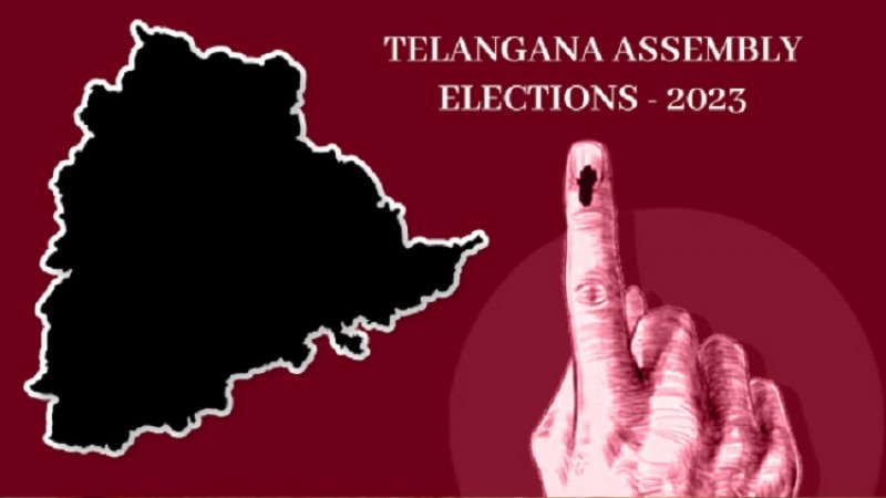 Telangana Assembly Elections: 51.89-pc Voter Turnout by 3 PM