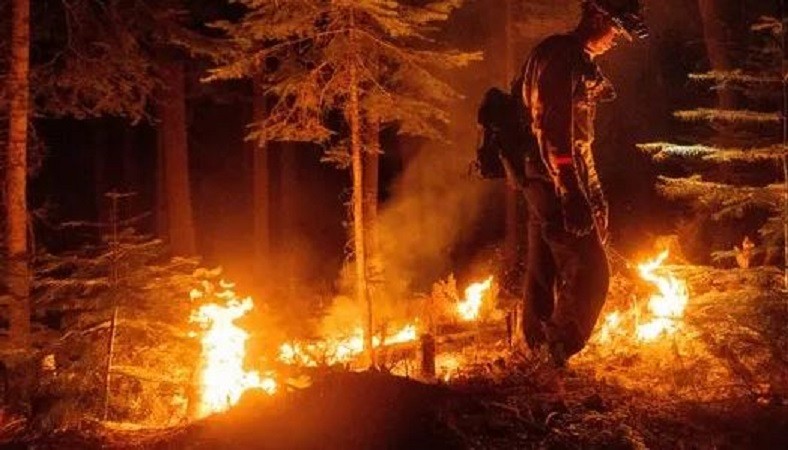 Dixie Fire California burns over 244,000 acres: Report