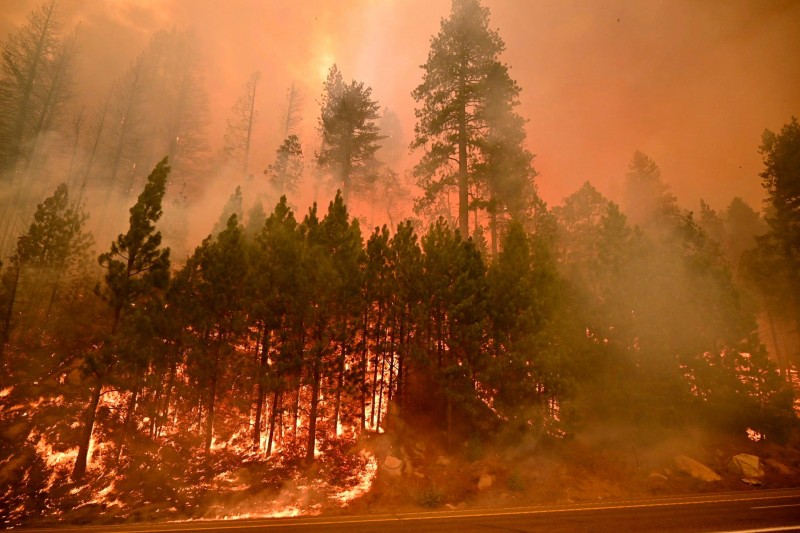 कैलिफ़ोर्निया के जंगलों में बढ़ती आग ला सकती है तबाही, ताहो झील की तरफ बढ़ रहा खतरा