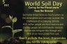 World Soil Day: Honoring the Essence of Earth's Foundation Through Quotes