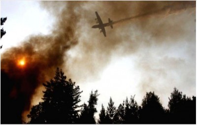 चिली में जंगल की आग से लगभग 1,200 हेक्टेयर भूमि नष्ट