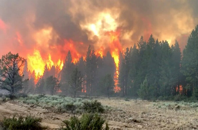 अमेरिका के जंगल में आग का कहर, कई एकड़ का इलाका जलकर हुआ खाक