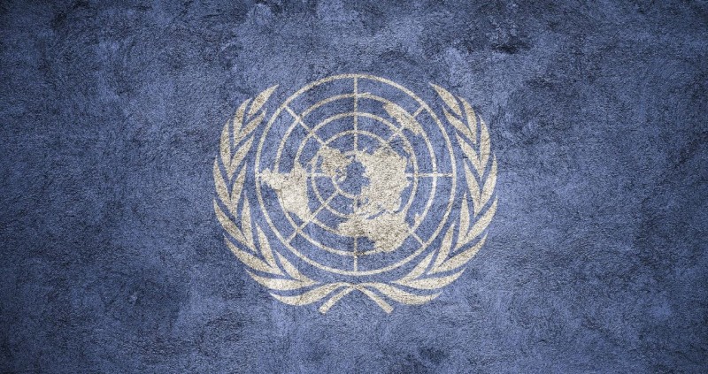 The United Nations (UN): Roles, Functions, and Efforts towards Global Peace and Development