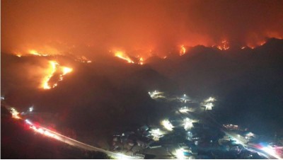 दक्षिण कोरिया के जंगलो  में लगी भीषण आग
