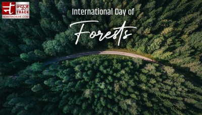 International Forest Day 2023, Read Something special for the day