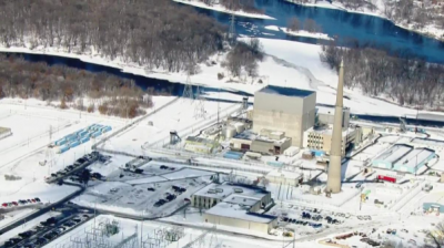 Several fish perished as a result of a nuclear plant leak in Minnesota.