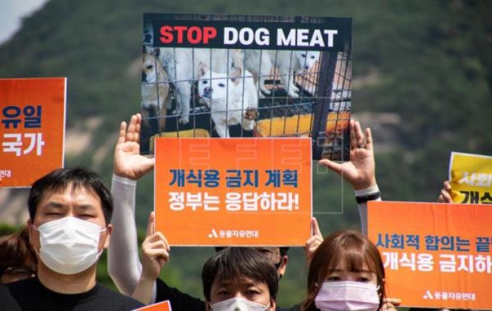 South Korea to set up consultative body on dog meat consumption
