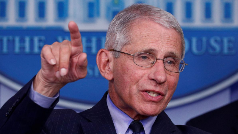 Omicron cases to peak in February: Anthony Fauci