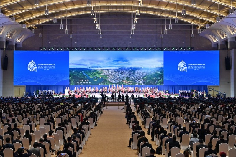 Kunming Declaration adopted at COP15