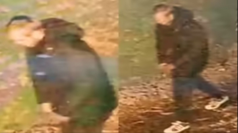 20-year-old Indian-origin woman raped in UK in a 