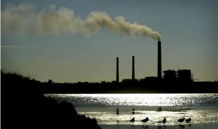 Ageing coal-fired power station in NSW sells for millions of dollars to private owners