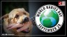 World Rabies Day 2023: Unifying for a Rabies-Free World: Embracing One Health
