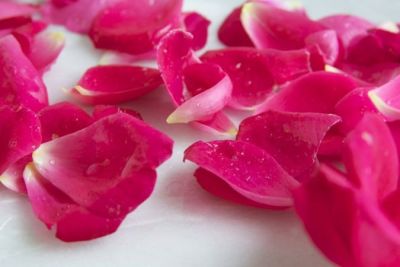 Make Rose water at home with simple steps