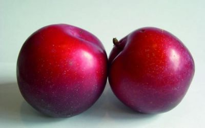 Get a wrinkle free skin with adding Plum in your diet