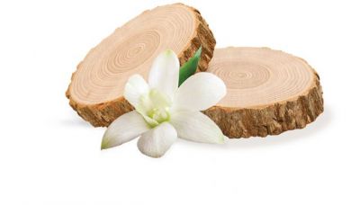 Sandalwood  makes the skin soften and glowing