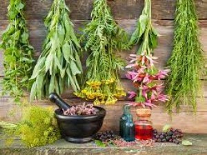 These plants present in the house are beneficial for skin and hair