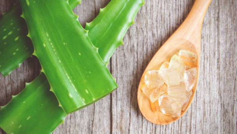 3  Aloe Vera remedies to offer all things natural and nourishing for your hair