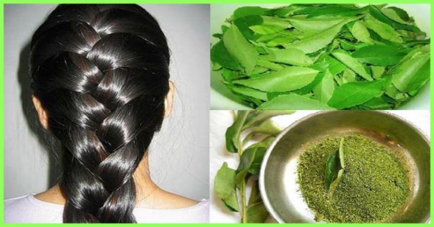 Lemon and curry leaves with curd help you to blacken hair | NewsTrack  English 1