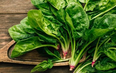 The Leafy Wonder: Exploring the Profound Benefits of Spinach