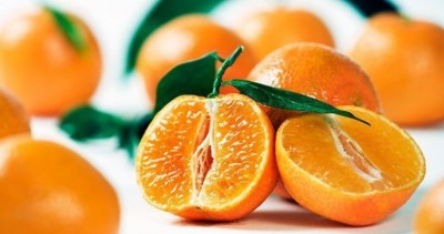 How Citrus Fruits and Strawberries Contain Vitamin C, Help Fight Stress