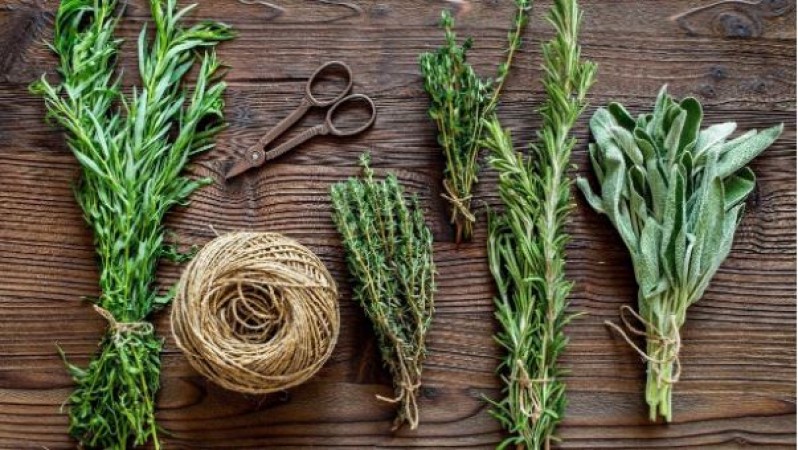 Herbs and Spices to include in your Cooking