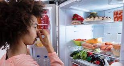 Do not keep these fruits and vegetables with you even by mistake, they will spoil even in the fridge