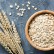 Why are Oats rich in Beta Glucan a treasure of health? If you know the benefits then you will not ask questions