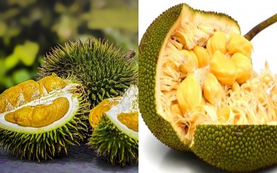 Durian: Eat this fruit which looks like jackfruit, you will not be able to count the benefits