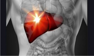 World Liver Day 2023: What is special for WLD?