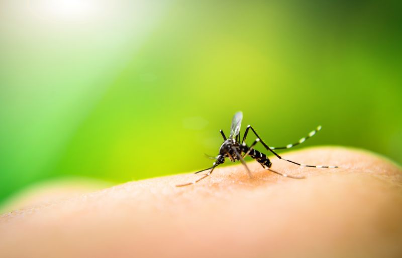 5 Effective tips to keep malaria away