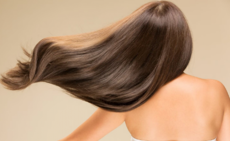 Harnessing Nature's Bounty: The Best Herbs for Thick and Luscious Hair  NewsTrack English 1