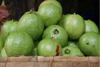 Exploring the Benefits of Guava Chutney for Diabetics