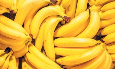 Health Benefits of Bananas: A Fruit Worth Celebrating on Banana Lover's Day