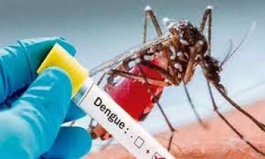 Unmasking the Looming Perils of Dengue Outbreaks
