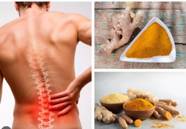 पीठ और कमर दर्द से आप भी है परेशान? तो इन 6 चीजों को अपने भोजन में करें शामिल