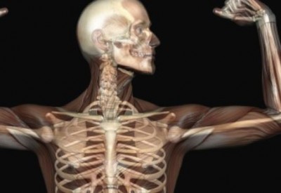 Seven Nutrients for Strong Bones: Beyond Calcium and Vitamin D