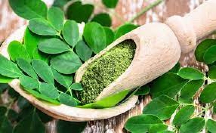 This miraculous leaf will breathe life into weak bones, add it to your diet immediately
