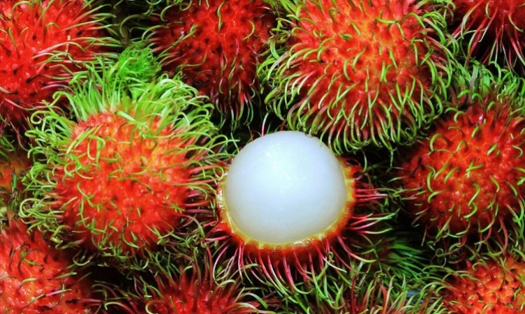 Don't be Afraid of Rambutan: Know its Varied Health Benefits