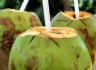 रोजाना नारियल पानी पीने के ये हैं फायदे, एक हफ्ते के अंदर असर देखकर चौंक जाएंगे आप