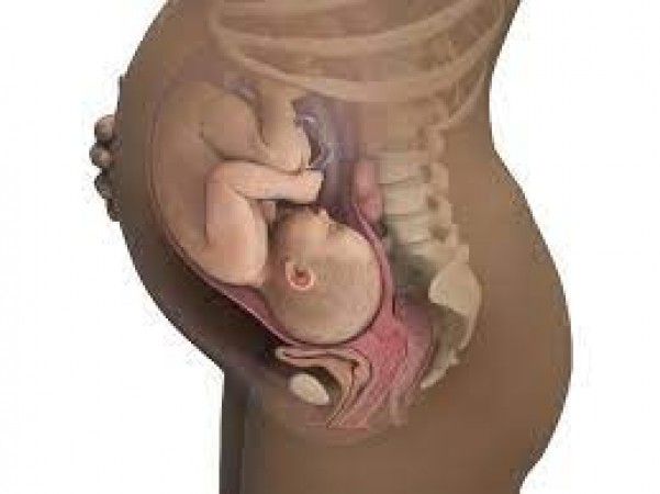 Why is pregnancy only for 40 weeks i.e. 9 months? Know the reason behind this