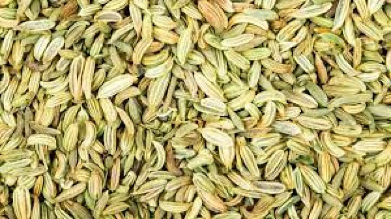 Does eating fennel improve eyesight? Know the benefits related to it