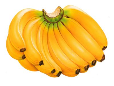 Eating Banana can cure you from a long-term cough and cold