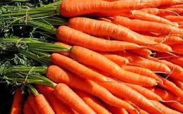 If you eat one carrot every day before the end of winter, you will remain fit and fine throughout the year